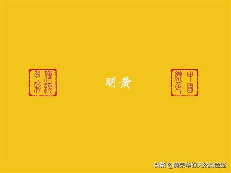 明黃色|中國傳統色彩明黃色初考